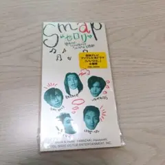 SMAP セロリ