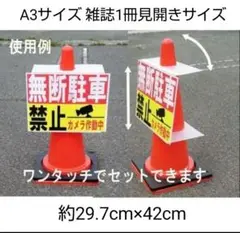 Item thumbnail for item 0d9a39ad-b719-4833-9d20-c10680cded99