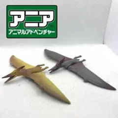 Item thumbnail for item 5f2b136d-e8fc-47e6-b437-f8d506d8a5ea