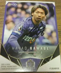 サンフレッチェ広島　川辺駿選手　直筆サインカード　刻印入り