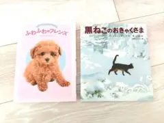 児童書　ふわふわフレンズ　絵本　黒ねこのおきゃくさま　2冊セット