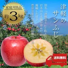 青森県産 サンふじ りんご 家庭用 3kg 農家直送 送料無料 リンゴ 王林