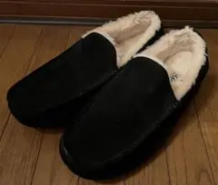 Item thumbnail for item f98c68f5-770e-40e0-b771-35376492cbaa