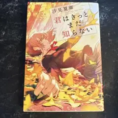 君はきっとまだ知らない