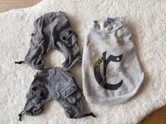 Item thumbnail for item 39c822e5-0dee-4136-81e4-3433b078a502