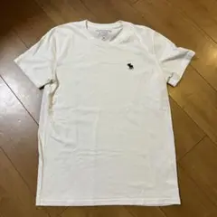 Abercrombie&Fitch アバクロ Tシャツ Sサイズ/日本Mサイズ