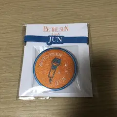 SEVENTEEN JUN ペンライトアクセサリー 2025年最新】セブチ ペンライト アクセサリー ジュンの人気