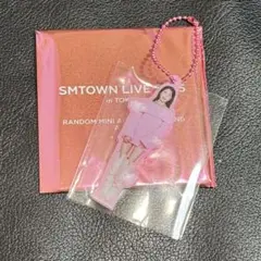 SMTOWN LIVE 2025 ミニアクキー A BoA