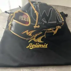 Nolimit 投手用　オーダー硬式グローブ