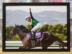 競馬.タイトルホルダー.パネル.天皇賞(春)