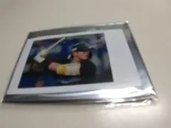 ロッテ 山本選手 チェキ