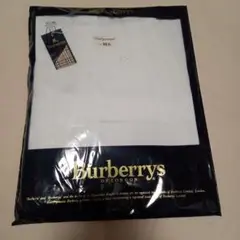 Item thumbnail for item 027bf23f-da42-4467-841f-72deec9c0bd9