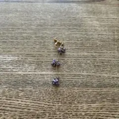 イヤリング