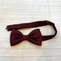 Item thumbnail for item 7387c1b7-dab3-449b-8cdc-f2e7dd00743f