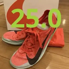 NIKE ドラゴンフライ2エリート　25.0cm