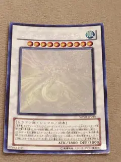 セイヴァースタードラゴン ホロ