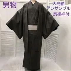 ❪4893❫ ◆ 男物 大島紬(正絹) アンサンブル (正絹長襦袢付) ◆
