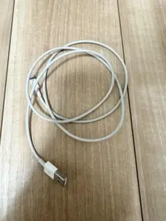 [ 新品、未使用]iPhone Apple 純正ライトニング ケーブル タイプA