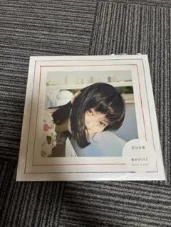 銀杏BOYZ 恋は永遠　レコード 2025年最新】銀杏boyz 恋は永遠の人気アイテム - メルカリ