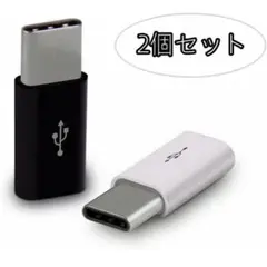 2個セット USB Type C 変換アダプタ　パソコン　オフィスワーク