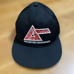 Item thumbnail for item 8d076f72-4380-402e-8542-f78ed76718ab