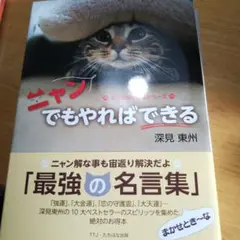 L3 ★かなりきれい★ニャンでもやればできる 深見東州の言葉 シリーズ その１