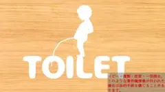 Item thumbnail for item 02585a45-50d4-4197-b21c-76099dda9dc4