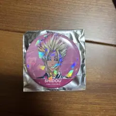 SHIDOU Ani-Art 第3弾 缶バッジ