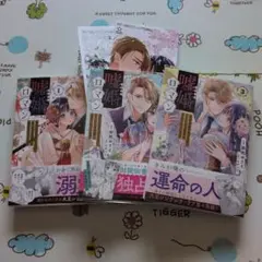 嘘婚ロマン 契約結婚のはずなのに、クールな旦那様に溺愛されています 1〜3巻