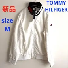 Item thumbnail for item 12a4fe17-acff-407a-9107-18c1e3c07b45