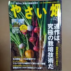 やさい畑