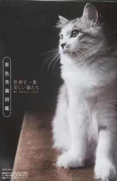 週刊文春　平成27年10月29日(2844)