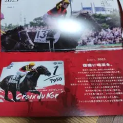2025年日本ダービー QUOカード クロワジュノール使用済み