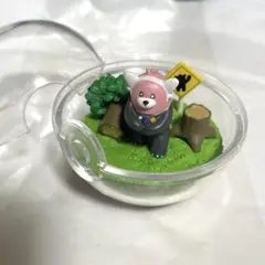 テラリウムコレクション リーメント キテルグマ
