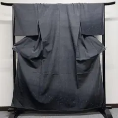 塩沢紬の付け下げ 水玉 着物 単衣
