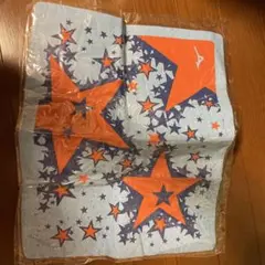 Item thumbnail for item e68d7335-3e50-4263-908e-4e74753ad97b