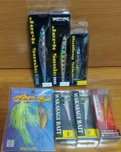 限定!廃盤ルアーセット!ウォーターランド デュオ レアリス デプス ティムコ