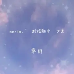 専用ページ