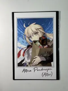 FGO ポートレイト セイバーオルタ スリーブローダー付