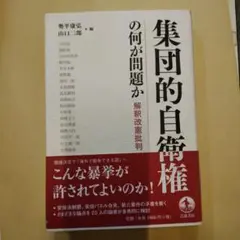 集団的自衛権の何が問題か 解釈改憲批判