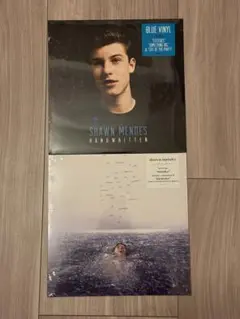 2025年最新】shawn mendes レコードの人気アイテム - メルカリ