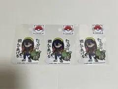 Pokémon × B-SIDE LABE ポケモン　ゼイユ＆ヤバソチャ