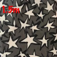 生地☆新品未使用品☆ハンドメイド
