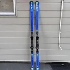 Salomon Race GS スキー 193cm X19ビンディング 超新作】 Salomon Race GS スキー 193cm X19ビンディング スキー