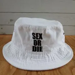 Item thumbnail for item 54f6cc26-66d3-4891-a31f-cd0c97a88a91