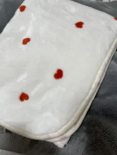 cottoli ひざ掛け ブランケット 毛布 お昼寝ケット ハーフ毛布