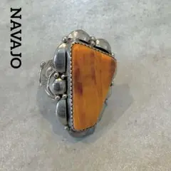 Item thumbnail for item 10fe1533-8fd3-4fcb-8afb-e15d98e57b43