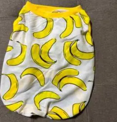 Item thumbnail for item b25e31d0-785a-452c-a335-c5f456c5454a