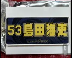 2025シークレットアクリルキーホルダー島田海吏選手