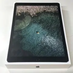 Apple製品空箱 iPadPro(12.9インチ)64GB